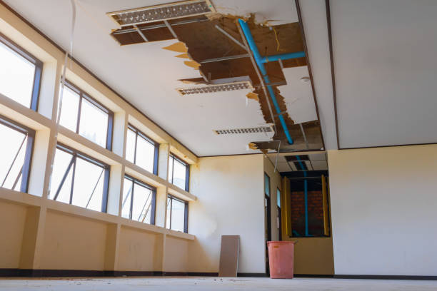 Best Carpet water damage restoration  in Kibler, AR