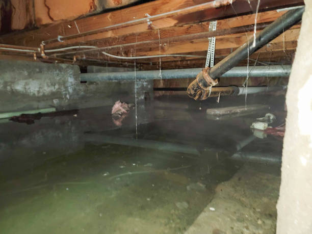 Best Water damage restoration experts  in Kibler, AR