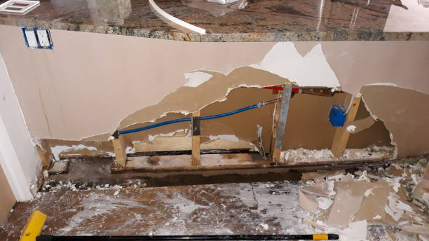 Best Mold removal after water damage  in Kibler, AR